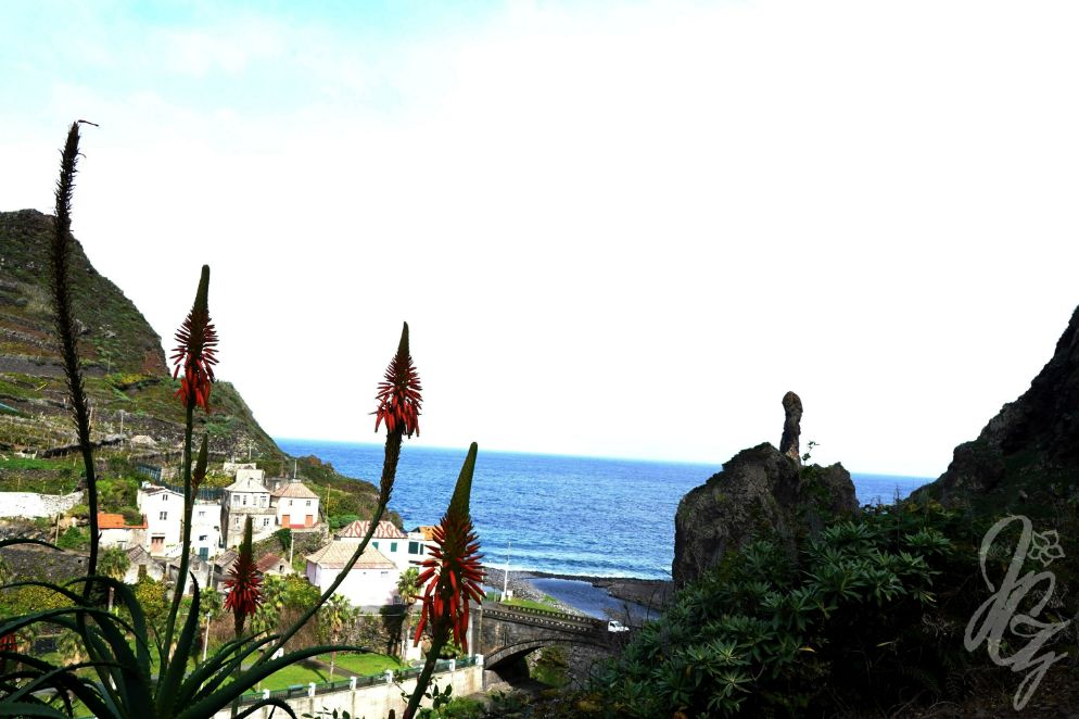 Ribeira da Janela in Madeira