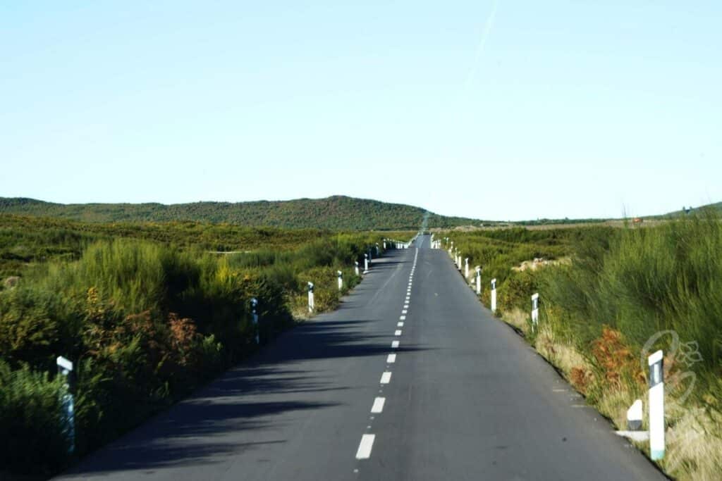 Straight road in the mountains of Madeira