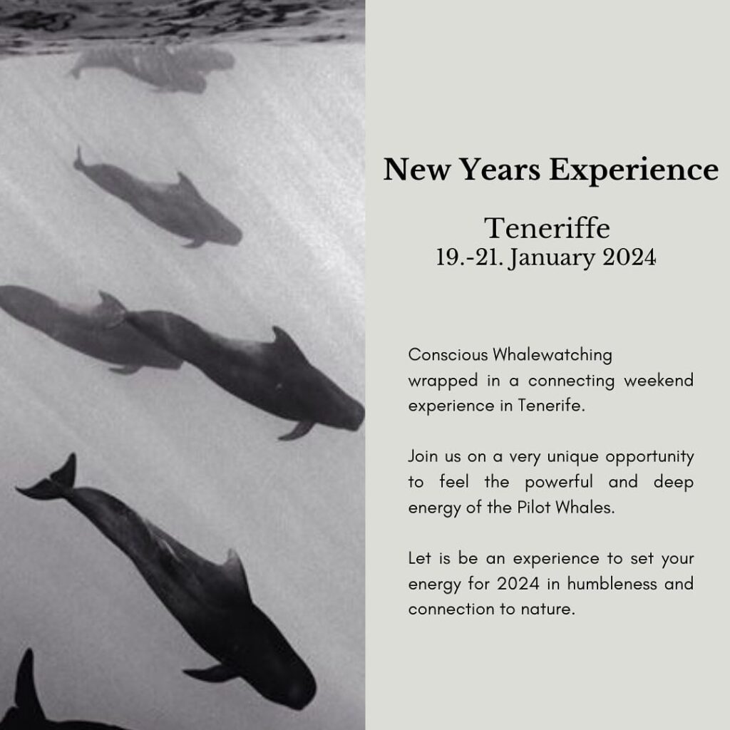 Promo image for upcoming retreat with Alena in the Canary Islands