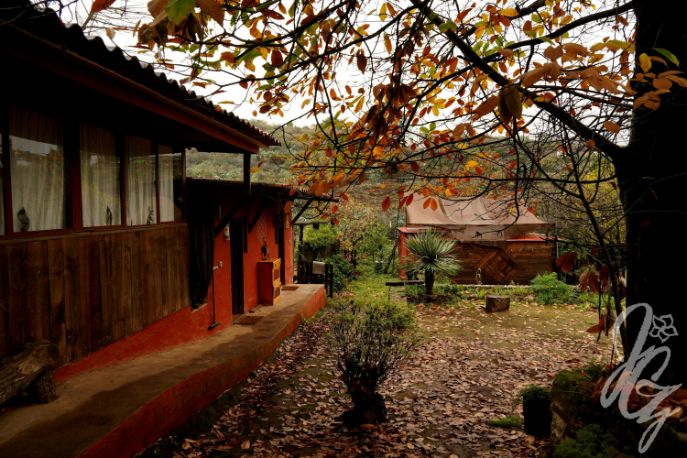 Yoga Retreat in Gran Canaria