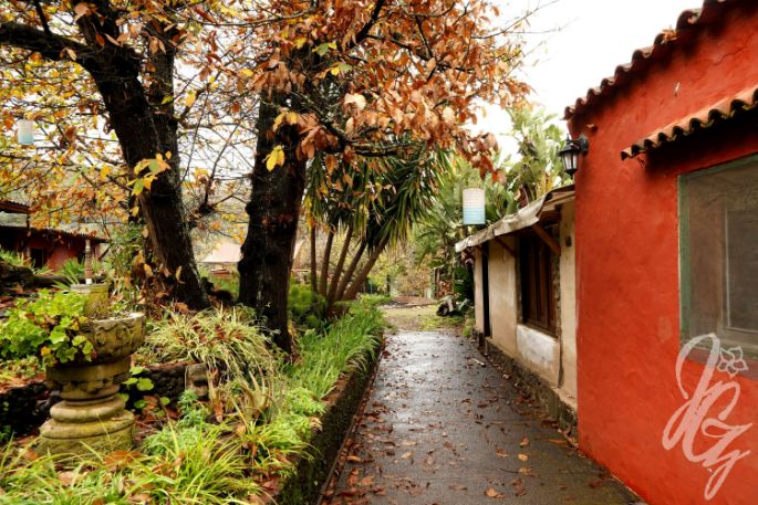 Yoga Retreat in Gran Canaria