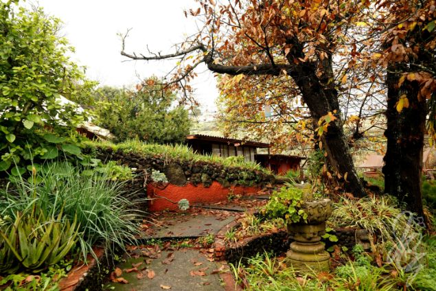 Yoga Retreat in Gran Canaria