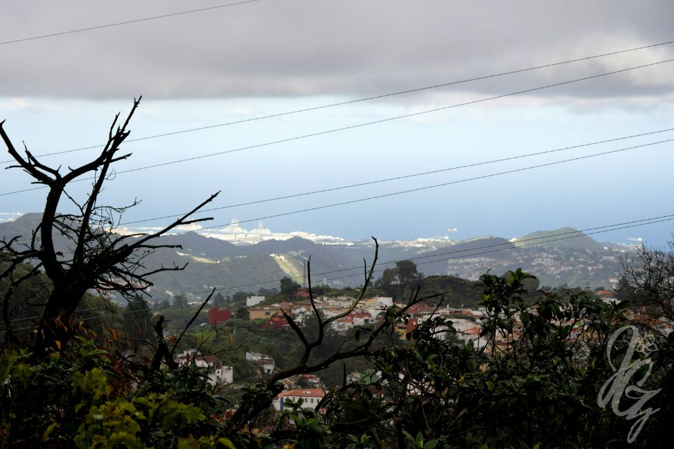 Yoga Retreat in Gran Canaria