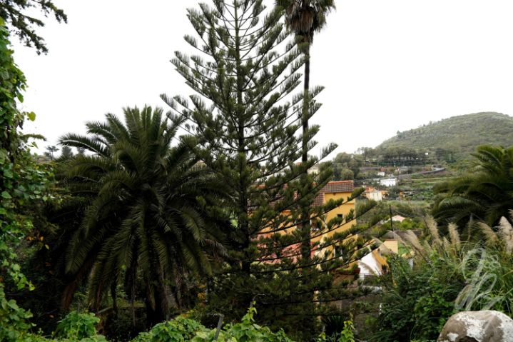 Yoga Retreat in Gran Canaria