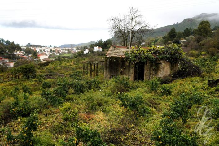 Yoga Retreat in Gran Canaria