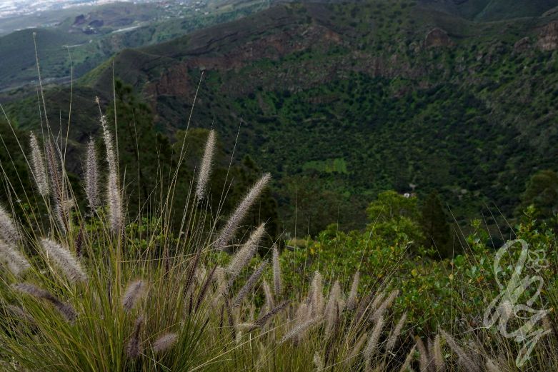Views from the Volcano Bandama