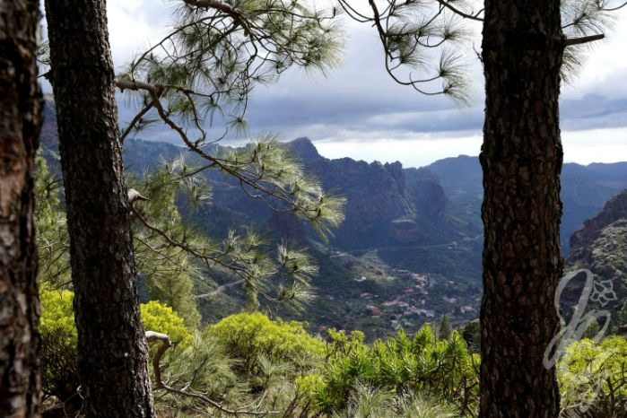 Hike to Roque Nublo in Gran Canaria