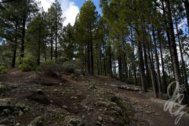Hike to Roque Nublo in Gran Canaria