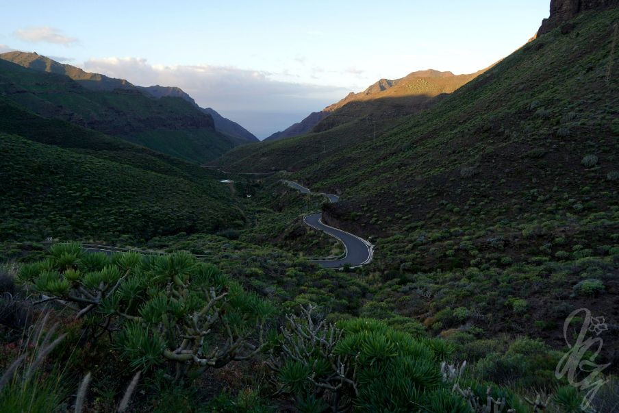 The landscape near Cruce de Tasartico