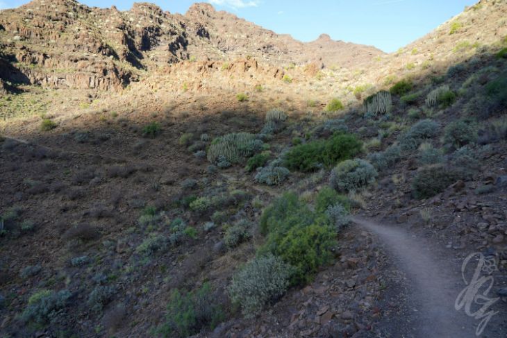 Hike to Gui Gui Beach in Gran Canaria