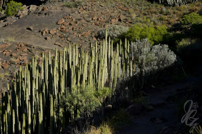 Hike to Gui Gui Beach in Gran Canaria