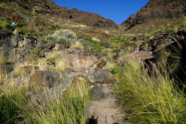 Hike to Gui Gui Beach in Gran Canaria