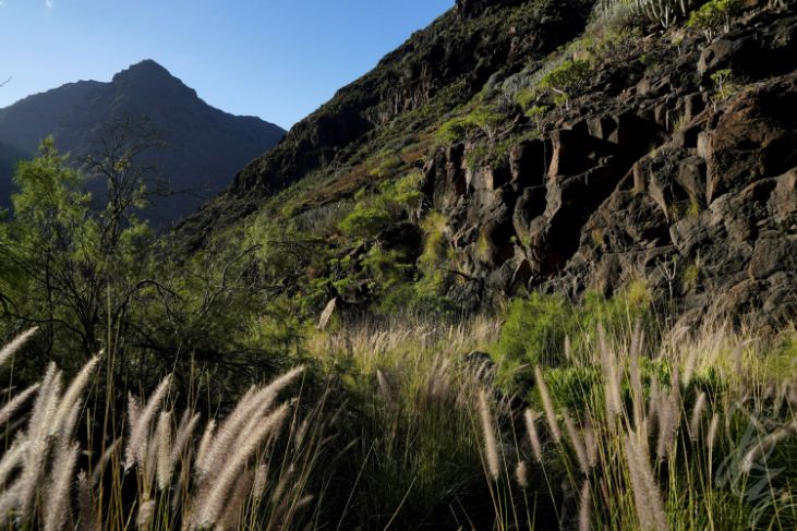 Hike to Gui Gui Beach in Gran Canaria