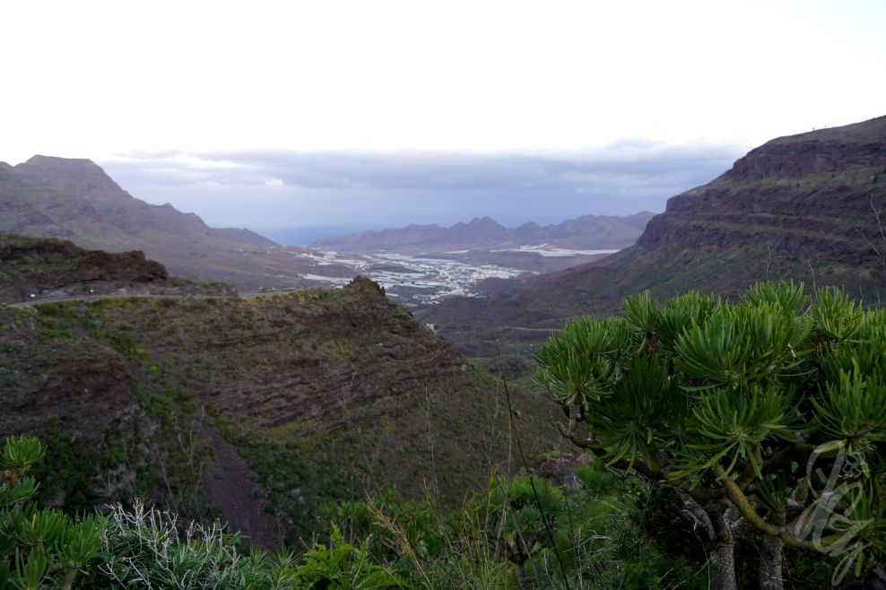 The landscape near Cruce de Tasartico