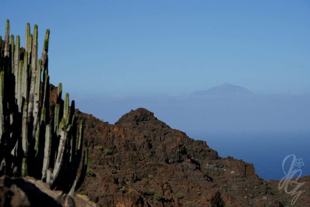 Hike to Gui Gui Beach in Gran Canaria