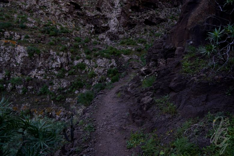Hike to Gui Gui Beach in Gran Canaria