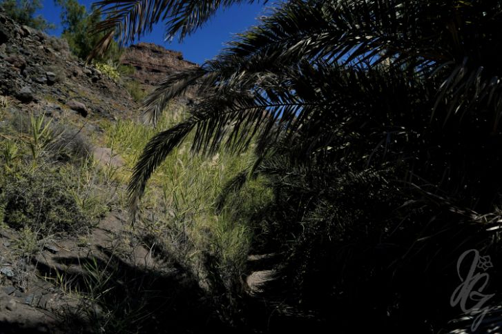 Hike to Gui Gui Beach in Gran Canaria