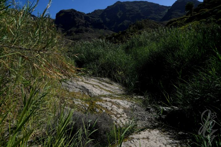 Hike to Gui Gui Beach in Gran Canaria
