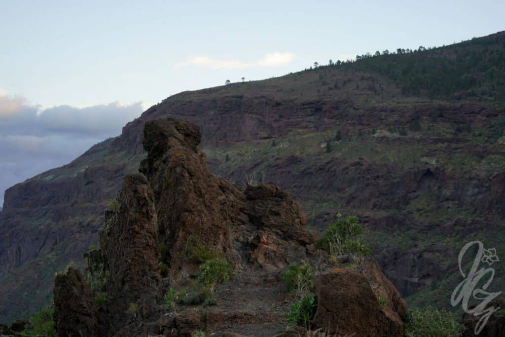 The landscape near Cruce de Tasartico