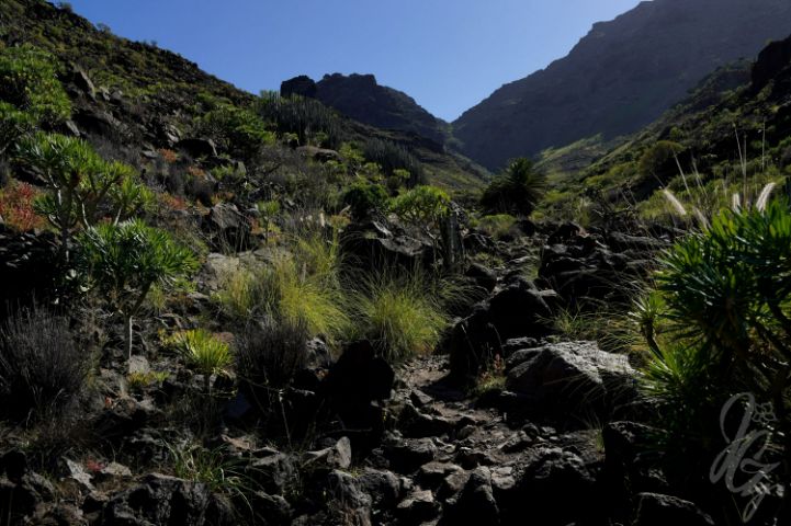 Hike to Gui Gui Beach in Gran Canaria