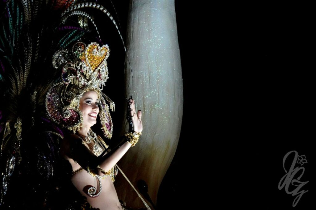 Carnival in Santa Cruz de Tenerife