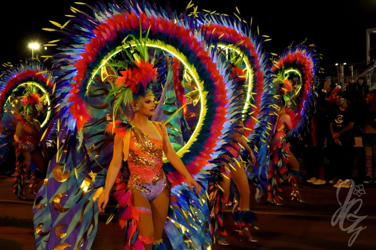 Carnival in Santa Cruz de Tenerife