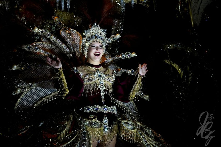 Carnival in Santa Cruz de Tenerife