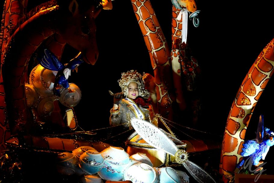 Carnival in Santa Cruz de Tenerife