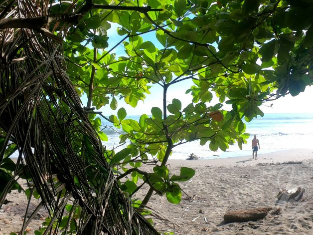 Hermosa Beach in Uvita, Costa Rica