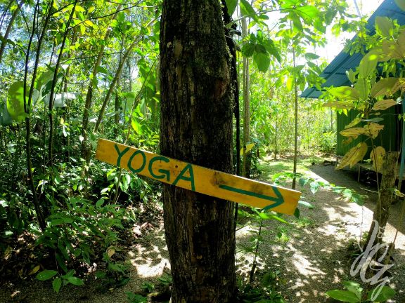 Yoga facilities at Hospedaje El Bosquecito in Uvita, Costa Rica