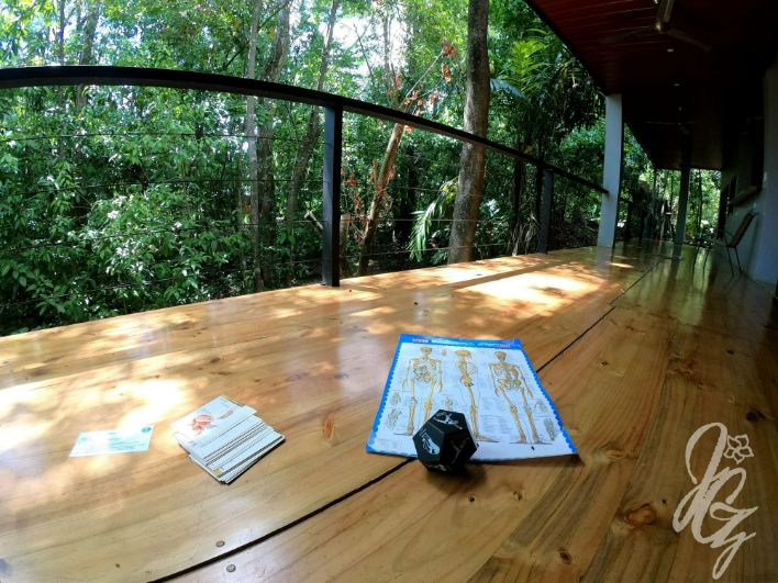 Training materials during the Yoga Teacher Training in Costa Rica
