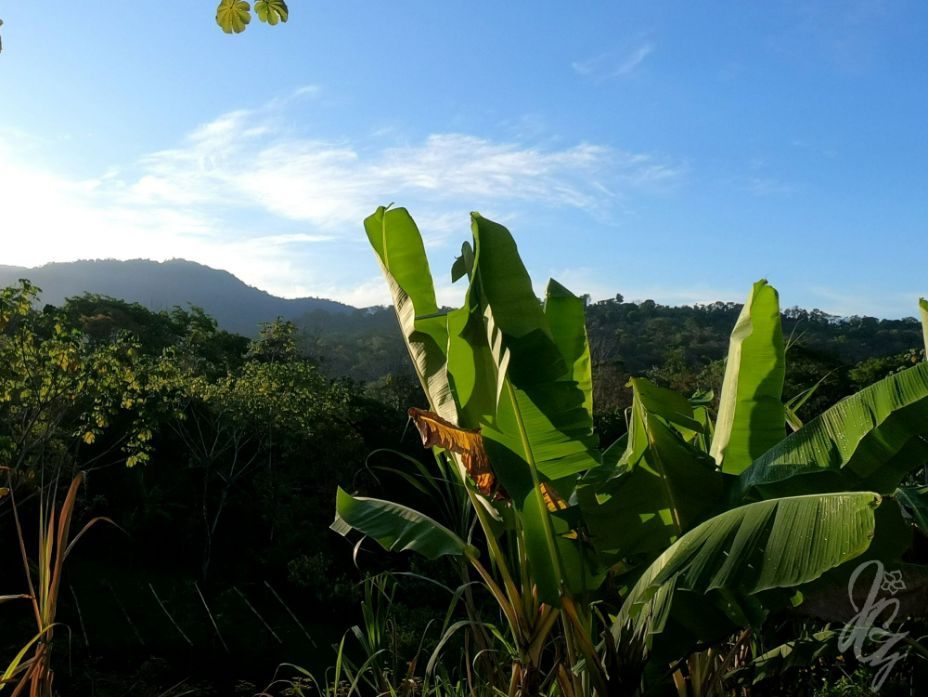 Waterfall in Uvita, Costa Rica
