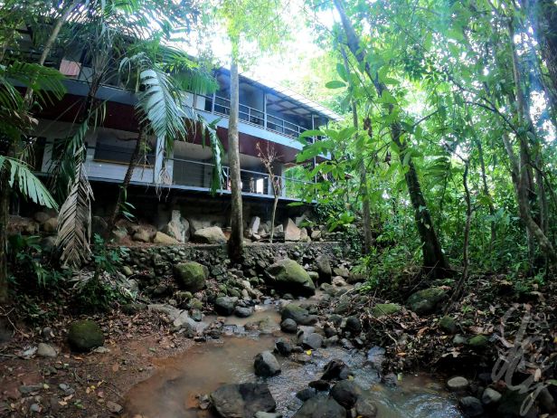 Hospedaje El Bosquecito in Costa Rica