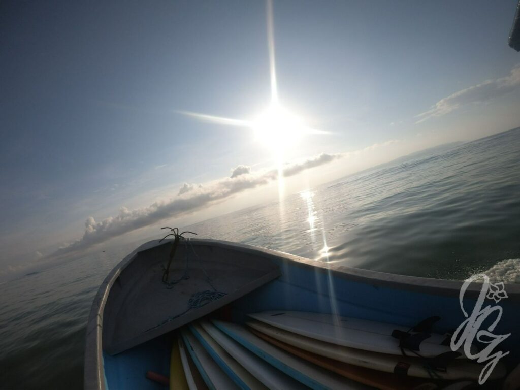 Boat trip to Corcovado National Park in Costa Rica
