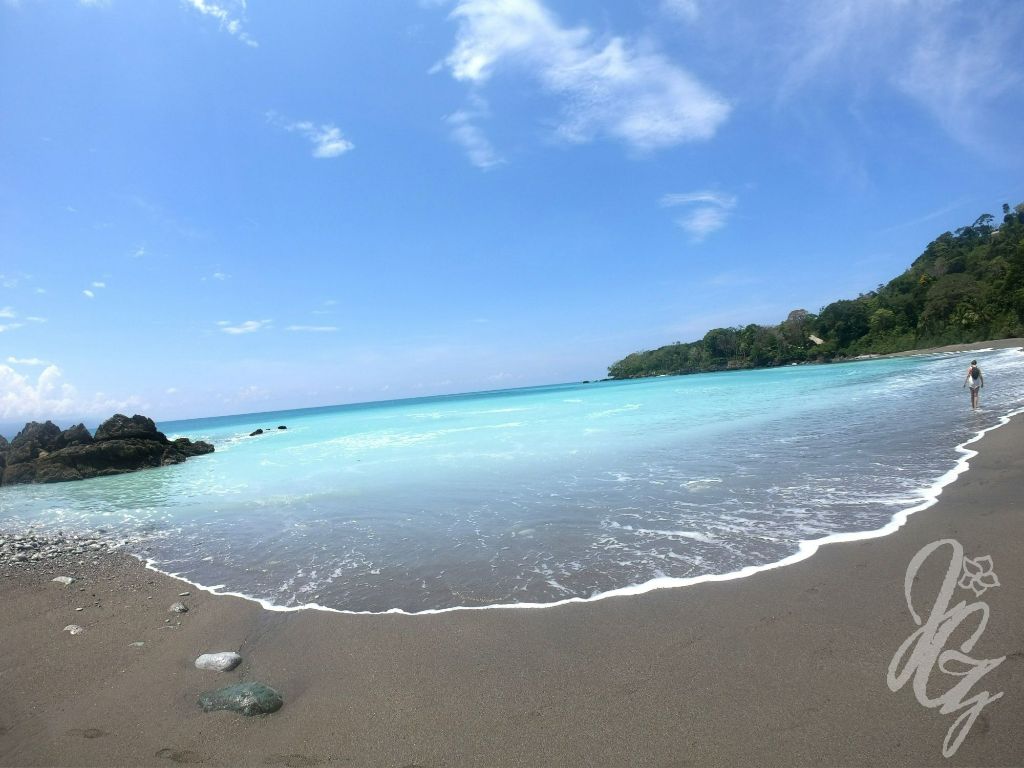 Boat trip to Corcovado National Park in Costa Rica