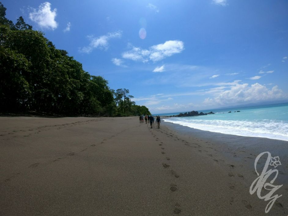 Boat trip to Corcovado National Park in Costa Rica