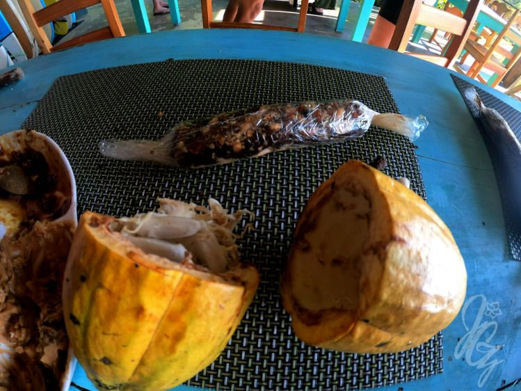 Chocolate workshop at SurfExpedition in Costa Rica