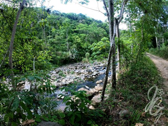 River with swimming hole in Uvita, Costa Rica