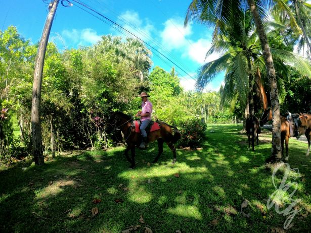 Horsebackriding to Punta Banco in Costa Rica