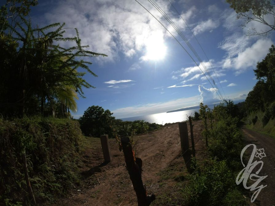 Horsebackriding to Punta Banco in Costa Rica