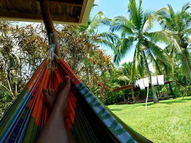 The surroundings at SurfExpedition Costa Rica