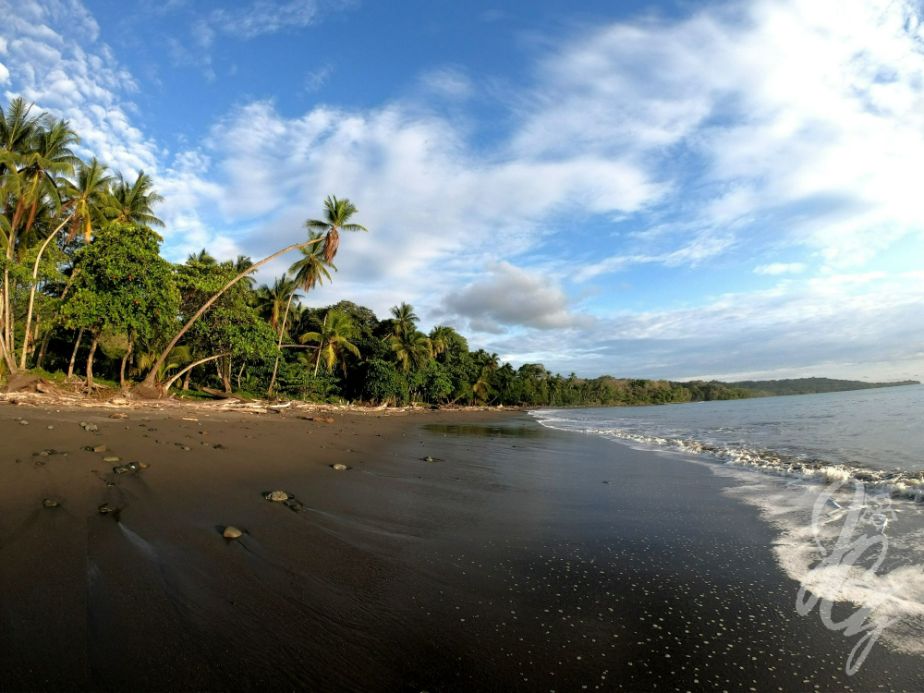 The surroundings at SurfExpedition Costa Rica