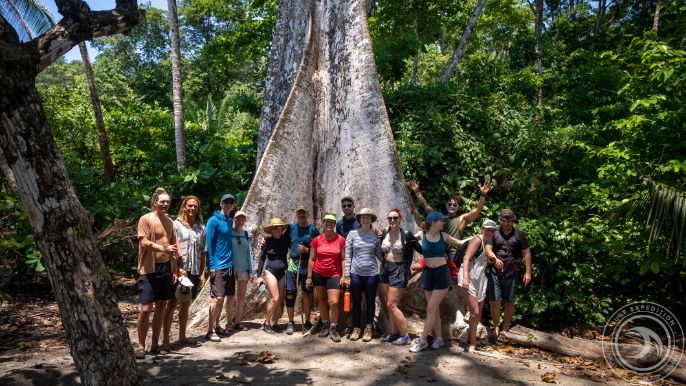 The group at SurfExpedition in Costa Rica