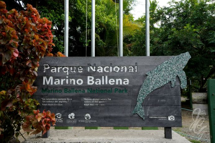 Parque Nacional Marino Ballena