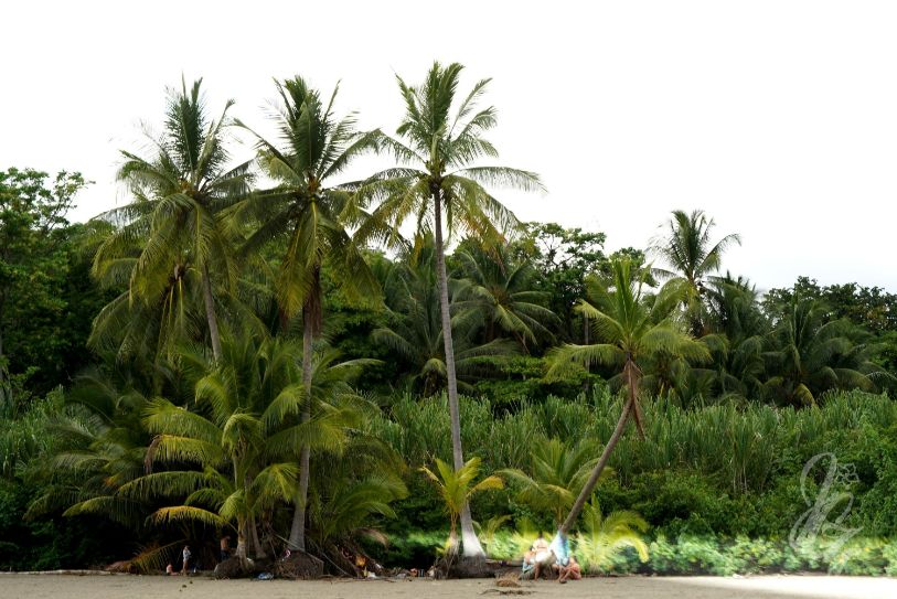 Parque Nacional Marino Ballena