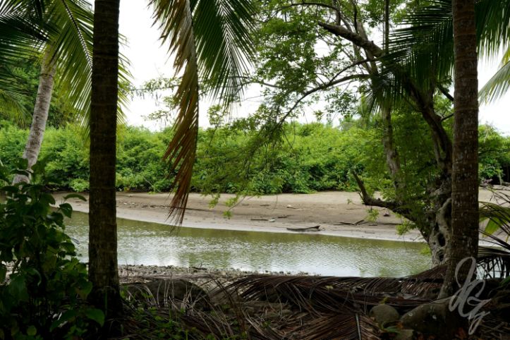 Parque Nacional Marino Ballena
