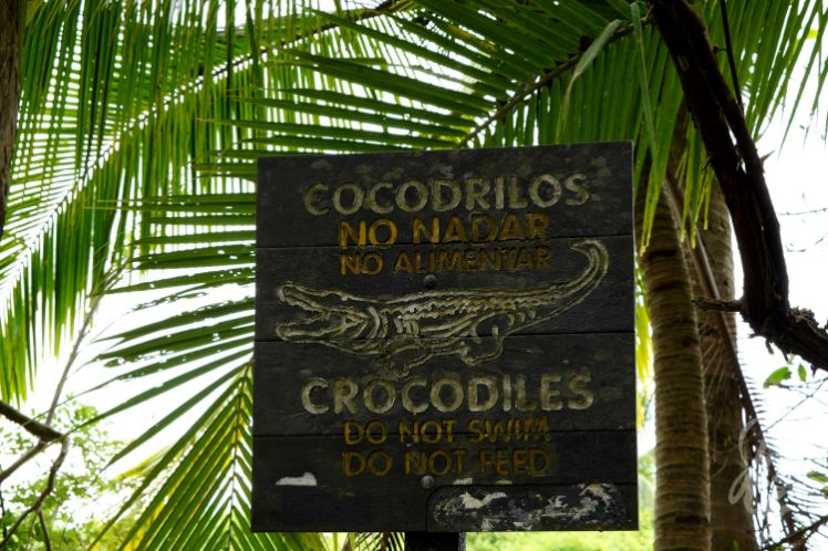 Parque Nacional Marino Ballena