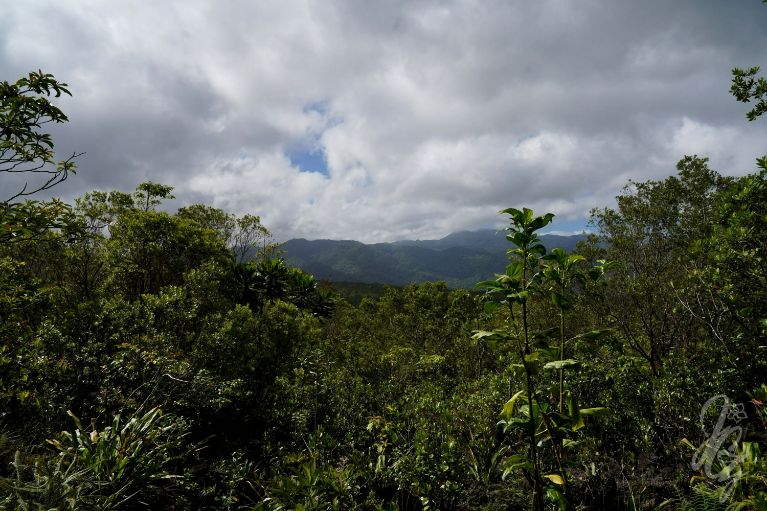 El Arenal Volcano in La Fortuna in Costa Rica