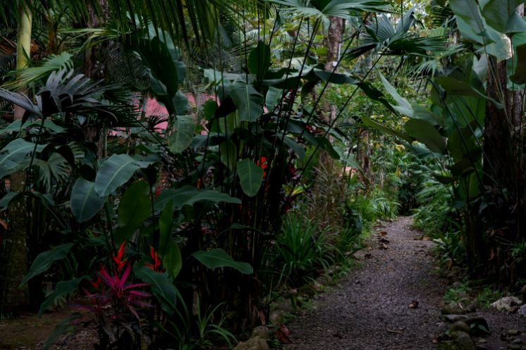 Cabanas Rusticas, Accommodation in La Fortuna in Costa Rica