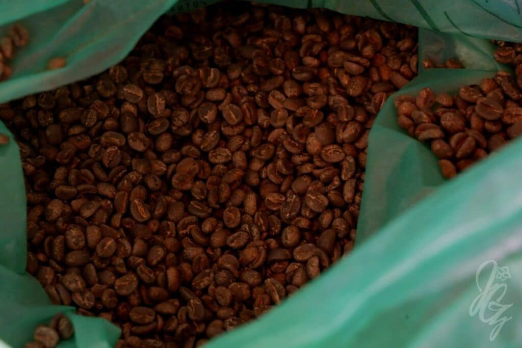 Monteverde Coffee Tour in Costa Rica